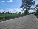 Paved road with surrounding greenery under a clear sky