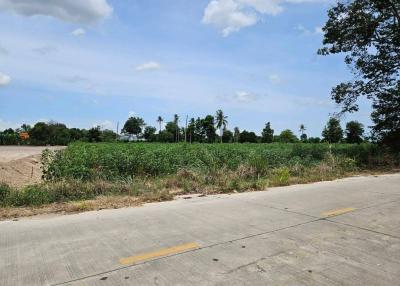 Spacious empty lot with clear skies and greenery