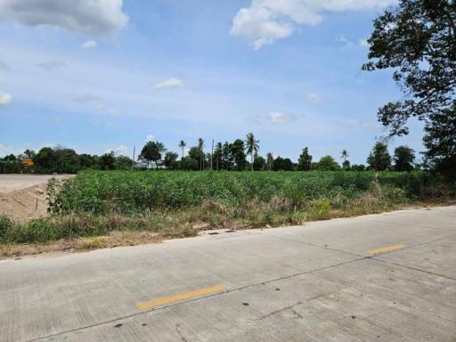 Spacious empty lot with clear skies and greenery