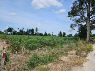 Spacious open land ready for development surrounded by trees under a clear sky