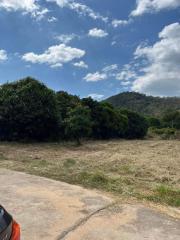 Empty land with natural surroundings and clear sky