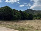 Empty land with natural surroundings and clear sky