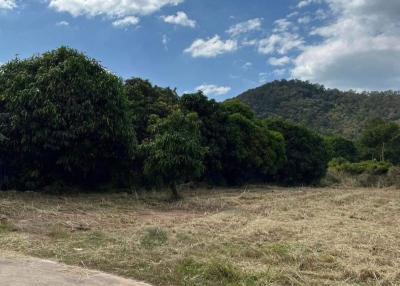 Vacant land with greenery and hill view