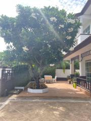 Spacious patio area with a large blooming tree and seating outside a home