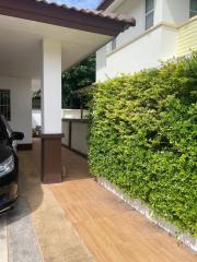 Driveway of a residential home with partial view of a car and lush green hedge