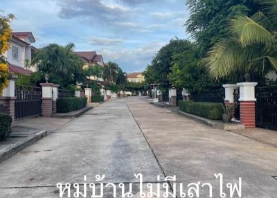 Paved street within a peaceful residential neighborhood lined with houses and lush greenery