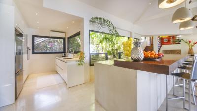 Modern kitchen interior with bright lighting and tropical plant decorations