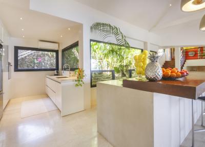 Modern kitchen interior with bright lighting and tropical plant decorations