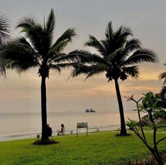 Serene seaside view with palm trees and a person enjoying the scenery