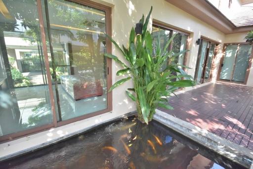 Spacious patio area with koi pond and lush plant