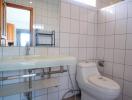Bright white tiled bathroom with sink, toilet, and mirror