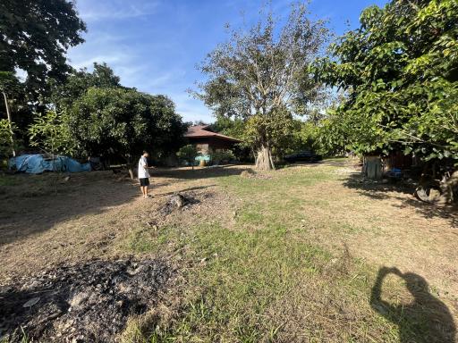 Spacious backyard with natural surroundings and a person standing in the distance