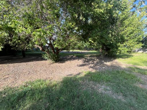 Spacious backyard with lush trees and ample shade