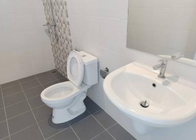 Modern bathroom with toilet and basin
