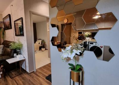 Stylish living area with modern honeycomb mirror wall decoration and hardwood flooring