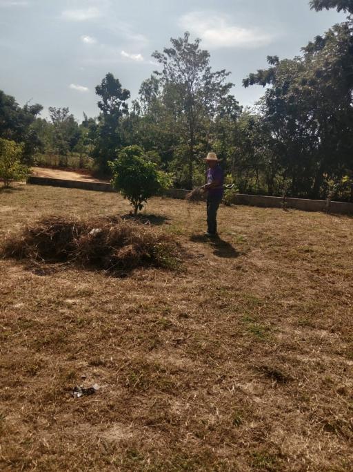 Person standing in a spacious outdoor area with trees and clear skies