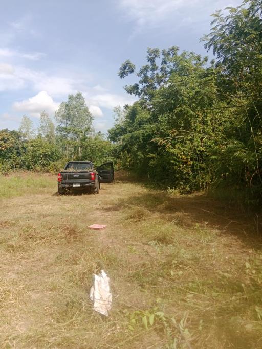 A black pickup truck parked on a grassy outdoor area surrounded by trees