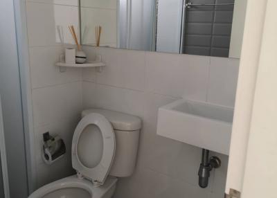 Compact bathroom with white ceramics and modern fixtures