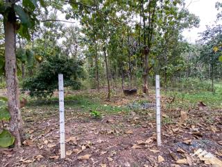 Land For Sale In Mae On