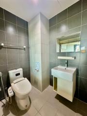 Modern bathroom interior with wall tiles and equipped with toilet and sink