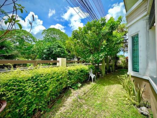 Lush green garden next to a house with a walking path