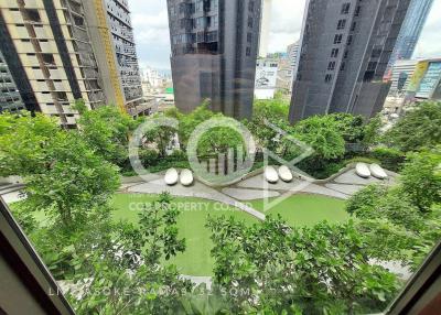 Lush green garden view with modern high-rise buildings in the background