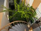 Spiral staircase with wooden accents and greenery