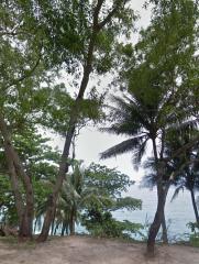 Scenic view of lush coastline with tropical trees and ocean