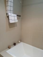 Modern bathroom interior with ceramic bathtub and tiled walls