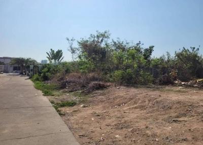 Uncleared vacant land with overgrown vegetation and debris