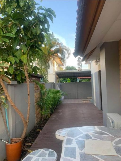 Paved pathway in the house exterior with surrounding greenery