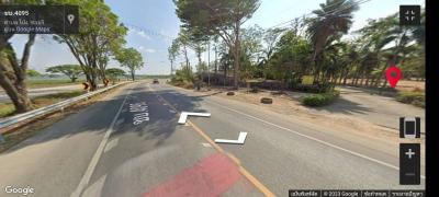 Paved road with trees and clear skies along the roadside