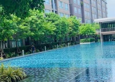 Condominium in Phuket Town for Rent & Sale