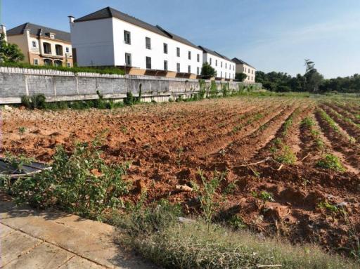 Agricultural land in foreground with residential buildings in the background