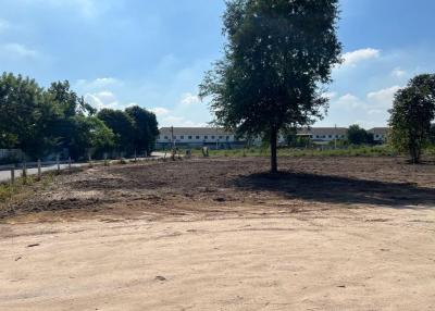 Empty plot of land with a single tree in the foreground and buildings in the background under a clear sky