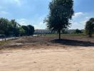 Empty plot of land with a single tree in the foreground and buildings in the background under a clear sky