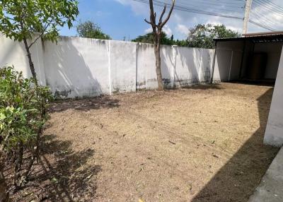 Spacious backyard with perimeter wall and greenery under a clear sky