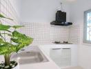 Modern kitchen with tiled walls and stainless steel sink