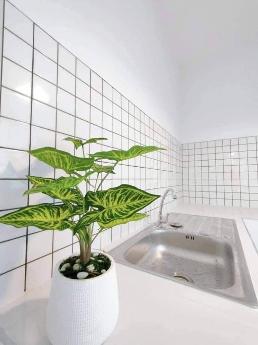 Modern Kitchen Sink with White Tile Backsplash and Decorative Plant