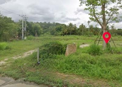 Vacant Land with Lush Greenery and Trees