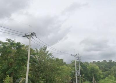 Green landscape with electric poles under cloudy sky