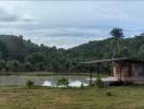 Rustic cabin by a pond with lush greenery in the background