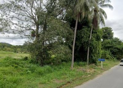 Spacious open land with lush greenery and a variety of trees next to a road