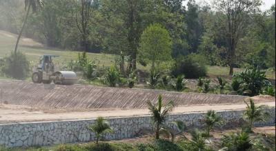 Developing land with construction vehicle and newly planted trees