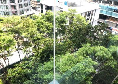 View from a high-rise apartment window overlooking a dense urban green space