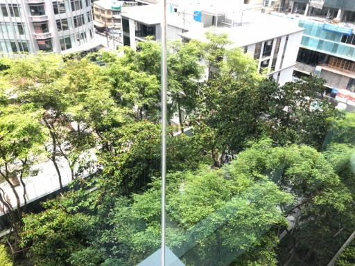 View from a high-rise apartment window overlooking a dense urban green space