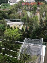 Scenic view from high-rise apartment showcasing lush greenery and outdoor communal area