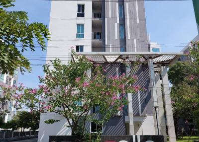 Modern residential building with landscaped entrance and flowering plants