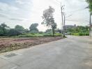 Paved road with surrounding vacant land and vegetation