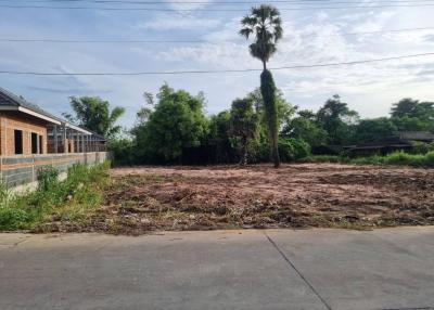 Vacant land with palm tree and nearby building